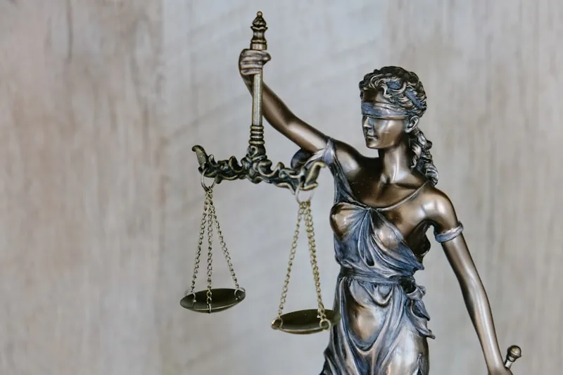 Law firms and legal services
